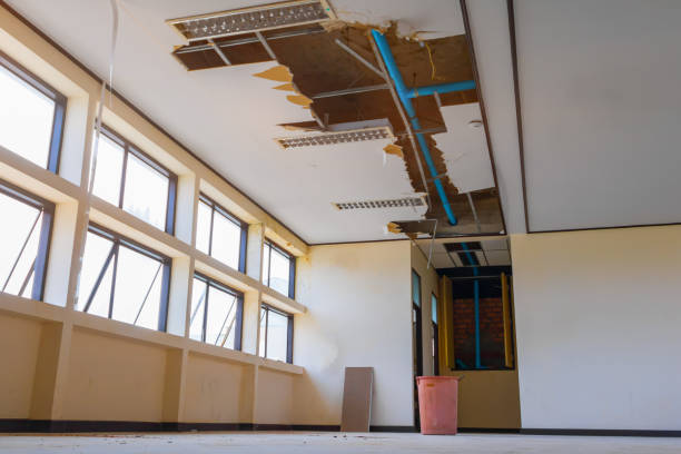  Lauderdale By The Sea, FL Water damage restoration Pros