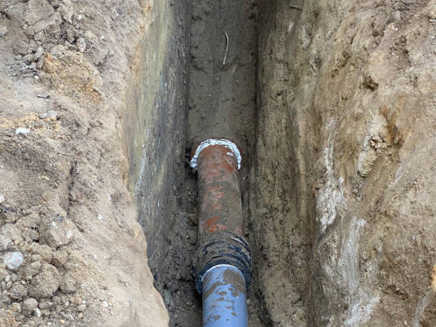 Best Basement water damage restoration  in Lauderdale By The Sea, FL
