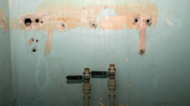 Best Flood damage cleanup  in Lauderdale By The Sea, FL
