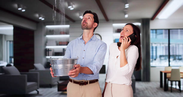 Best Mold removal after water damage  in Lauderdale By The Sea, FL